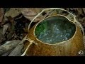 DIY Survival Brewing Tea In The Jungle Dual Survival