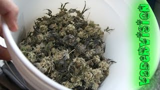 May the Frost be with You!