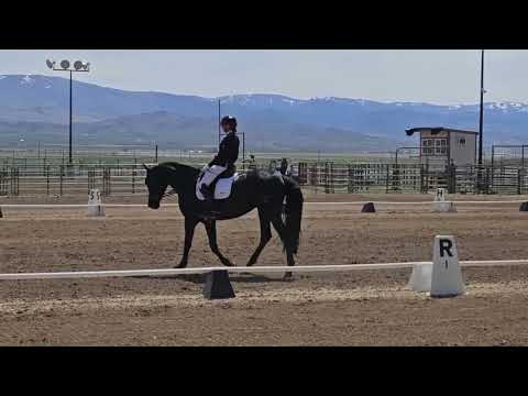 M Dark Star and Julia Mineikis Second Level Test 3. 77.97%