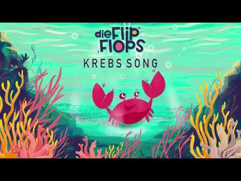 Die Flip Flops - Krebs Song
