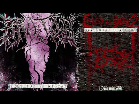 BROJOB - DISTRICT OF MISERY [OCEANO COVER]