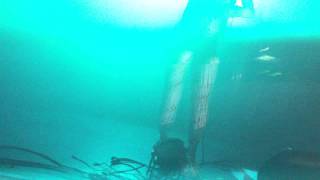 sleighbells-riot rhythm