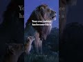 Attitude Lion King Father The Superhero Shorts Status Lionking