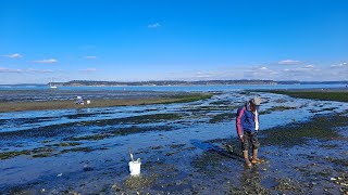 2022年初の潮干狩り: Tolmie State Park