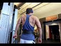 Basic & Big: Week 11 Day 74: Back and Traps ELT