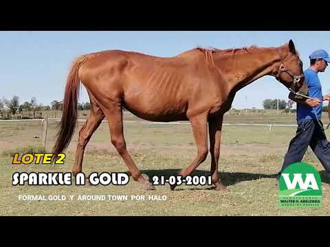 Lote SPARKLE N GOLD (USA)