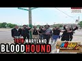 BloodHound Drill City 79TH Hood Vlogs Skrilla Shot Story Rell Vert Slimeto Big 3 Lil Jeff Bond
