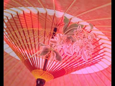 飲み屋 20230416PM