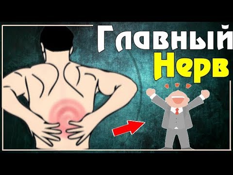 Выкатать боль в спине яйцом Болит шея и температура причины
