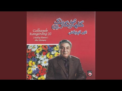 Shakheh Gol No 350, Bayat Tork