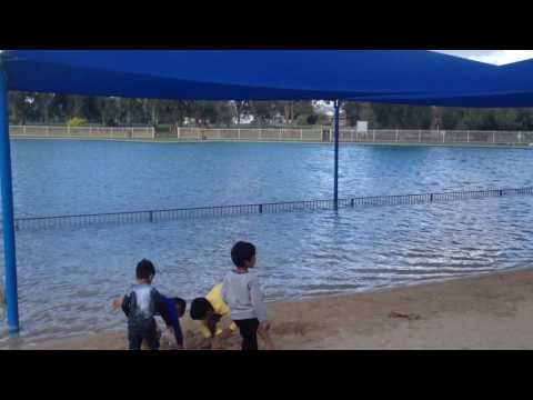 Millicent Swimming Lake