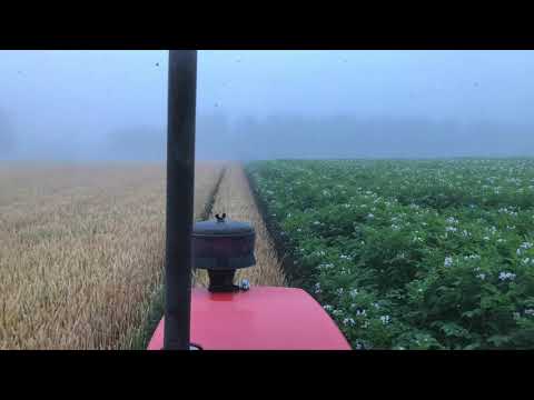 ジャガイモを積む:こうやって作る 植物