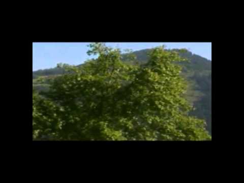 2012 06 21 Goldsucherforum Forumstreffen 2012