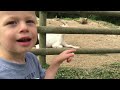Stoneywish Nature Reserve, Park and Petting Zoo in Sussex. Hassocks