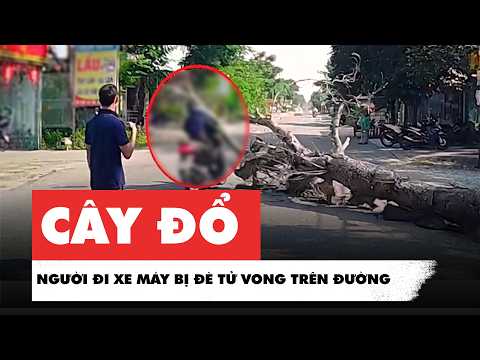 Chặt hạ cây đổ ra đường, người đi xe máy bị đè chết