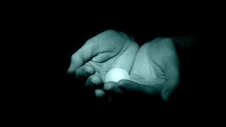 Երկնքի արքայությունը նման է… Պահված գանձի, մարգարտի և ուռկանի օրինակները (Մատթ. 13:44-52)