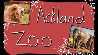 Auckland zoo trip