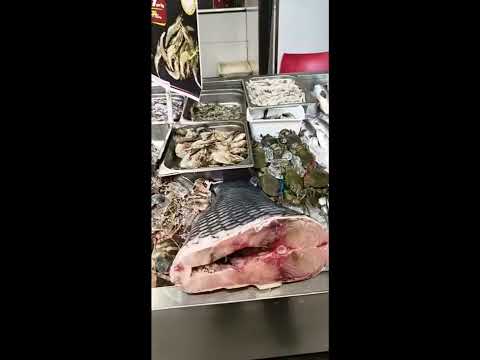 All varieties fish market Bengaluru My chicken and more