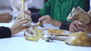 Download lagu Profil Fakultas Kedokteran UMM 2016 mp3 Download lagu Profil Fakultas Kedokteran UMM 2016 mp3