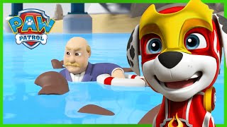 Mighty Pups save Adventure Bay from Harold Humdinger! | PAW Patrol Episode | Cartoons for Kids