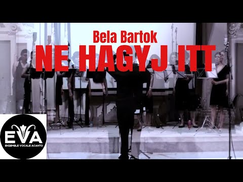 Video thumbnail for Ne hagyj itt!