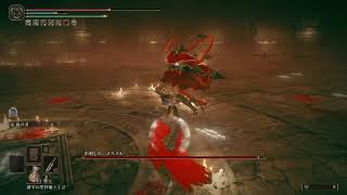 ELDEN RING　メスメル特訓配信