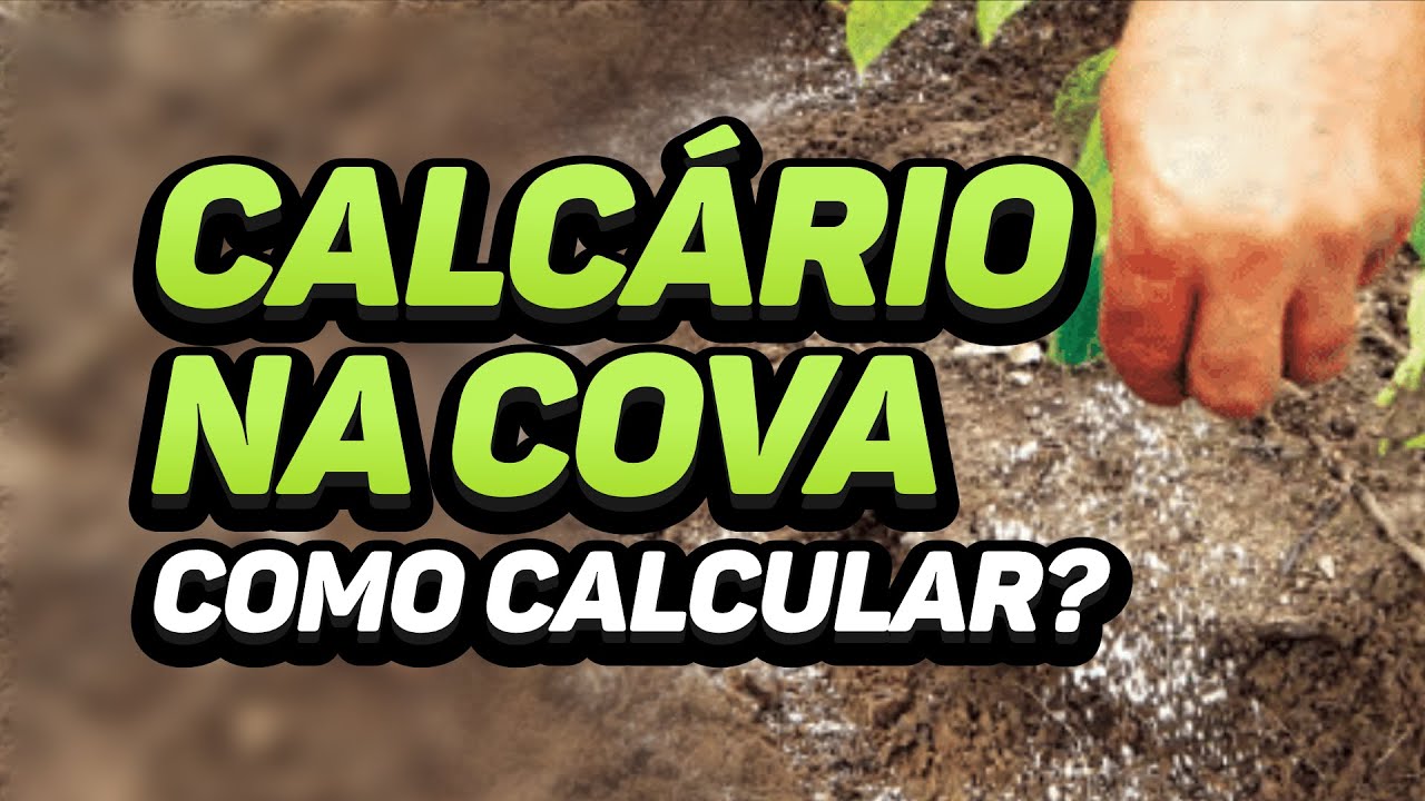 CALAGEM NA COVA - COMO CALCULAR A QUANTIDADE? Daniel Scotá