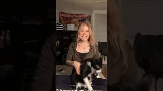 This Cat Stole Her Honey Chicken 🐔