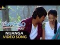 Kotha Bangaru Lokam Video Songs Nijangaa Nenena Video Song Varun Sandesh Sweta Basu