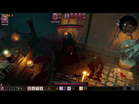 Divinity Original sin 2 DE | Kniles the flenser [Solo honour mode]