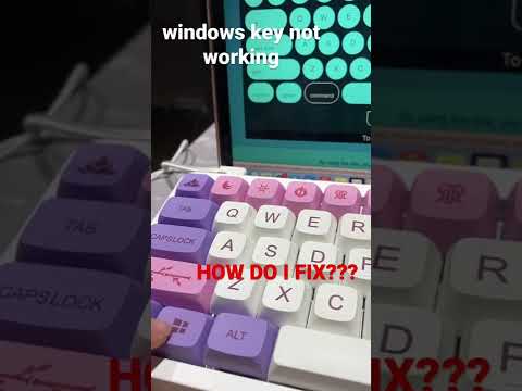 windows key not working
