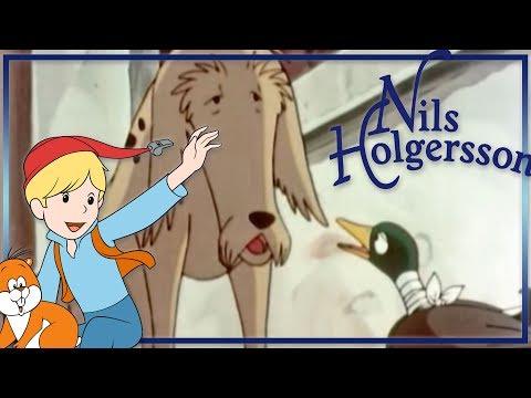 Nils Holgersson: Jarrow, der Lockvogel - Folge 18 auf Deutsch in ganzer Länge