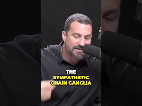 The Surprising Power of the Sympathetic Chain Ganglia #motivation #relaxing #relaxing #selfcare