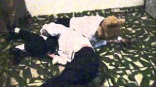 Animal Collective - Water Curses