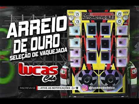 ARREIO DE OURO SELEÇÃO DE VAQUEJADA @lucascdsdeico_