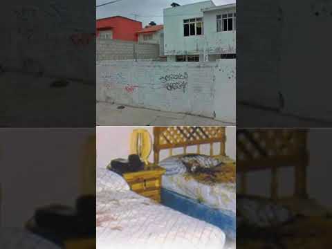 Claudia Mijangos: La hiena de Querétaro #misterios #noticias #truecrimestories #shorts #mexico