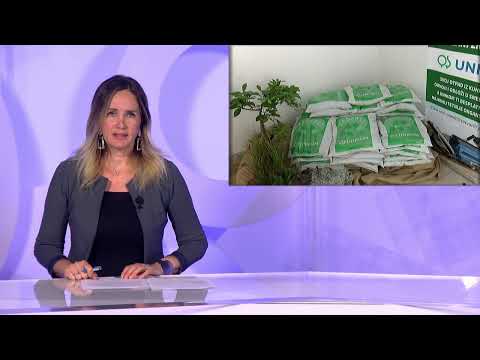 DNEVNIK 24.09.2023. Osječka televizija