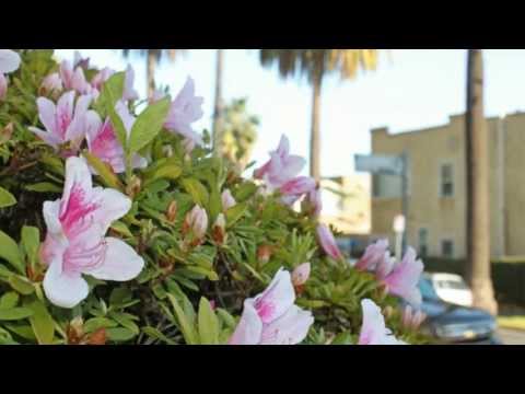 4579 Ambrose Ave. #4 Los Angeles, CA 90027