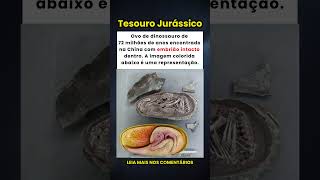 Ovo de Dinossauro de 72 Milhões de Anos Encontrado com Embrião Perfeito! 🥚🦖