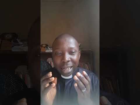 Daily Fountain Recap