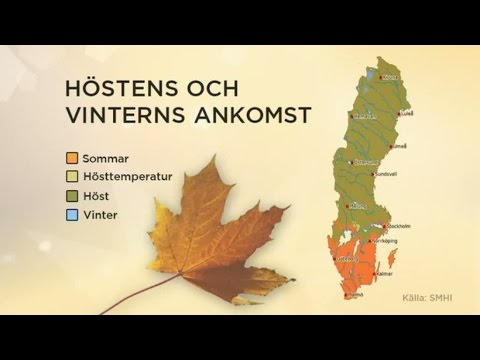 Meteorologen om höstens framfart i landet - Nyhetsmorgon (TV4)
