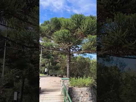 San Jerónimo la Cumbre Córdoba