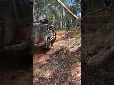 76 series land cruiser lovin