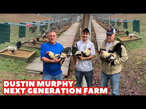 DUSTIN MURPHY - Big Farm USA Feeding Time Shape Chicken Coop Indoor Outdoor Breeding Pens 🇺🇸