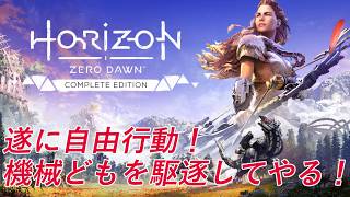 ここから遂に自由行動！広大なフィールドに翻弄されて満身創痍！！#8【Horizon Zero Dawn 実況】