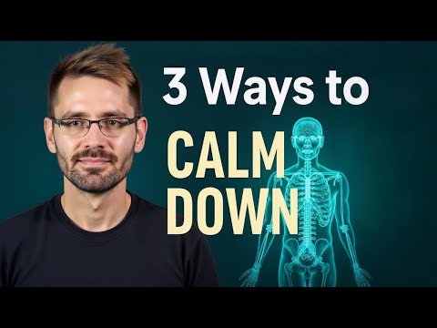 Stuck in Fight or Flight? Here’s How to Calm Your Nervous System