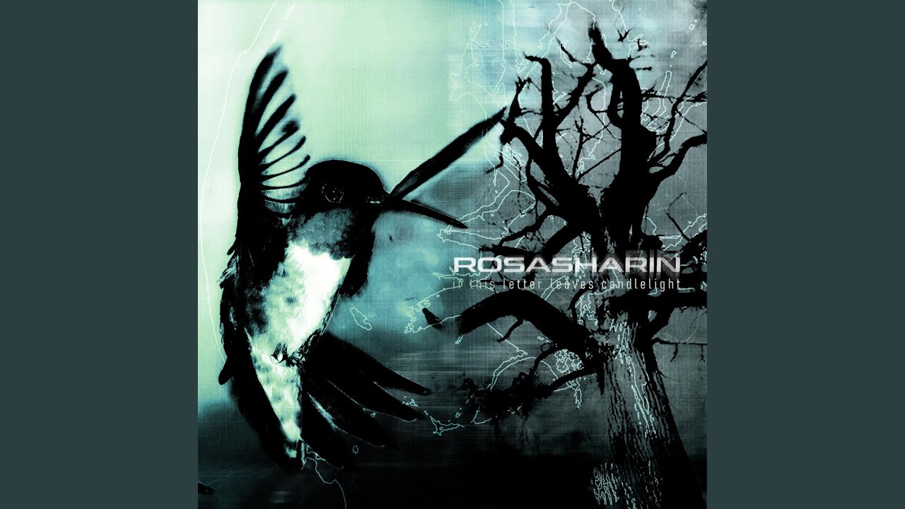 Rosasharin - Episode II: The Science Behind Sleeping