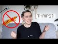 How To Get Rid of THRIPS! | Thrips Pest Control