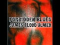 James Blood Ulmer ~ Forbidden Blues