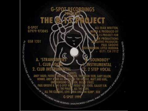 B 15 PROJECT - STRAWBERRIES